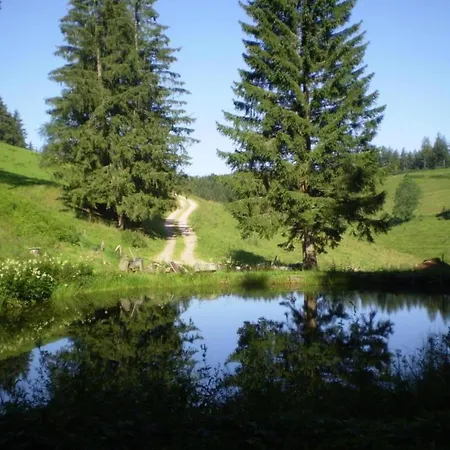 Appartement Zentral Gelegene Mit Garten *