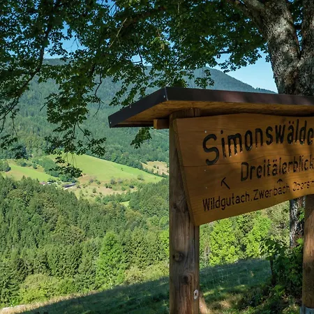 Appartement Zentral Gelegene Mit Garten *